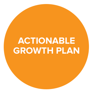 Mintoa - Actionable Growth Plan